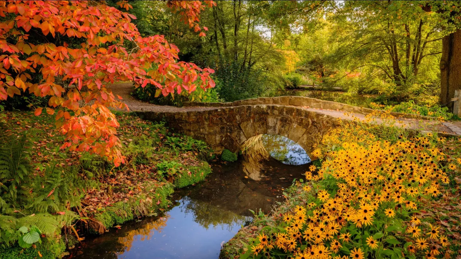 A stone bridge over a river in an autumnal forest