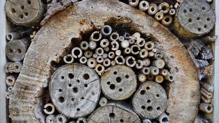 Bug hotel in the Natural Area 